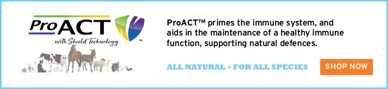 ProACT